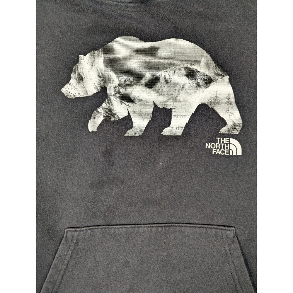 North Face Men Grizzly Bear Mountain Graphic Hoodie Black Sleeve Logo M #2339 - Picture 3 of 9